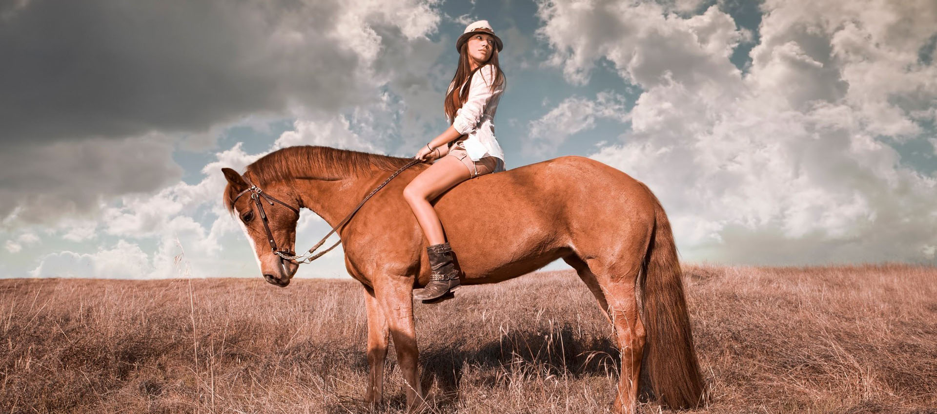 ������������������������